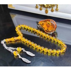 ÖZEL KARINCA FOSILLI...