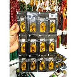 AKREP ANAHTARLIK KEHRIBAR...